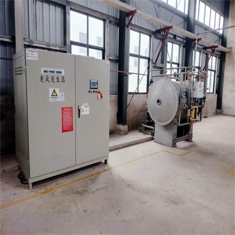 臭氧发生器 (1).jpg